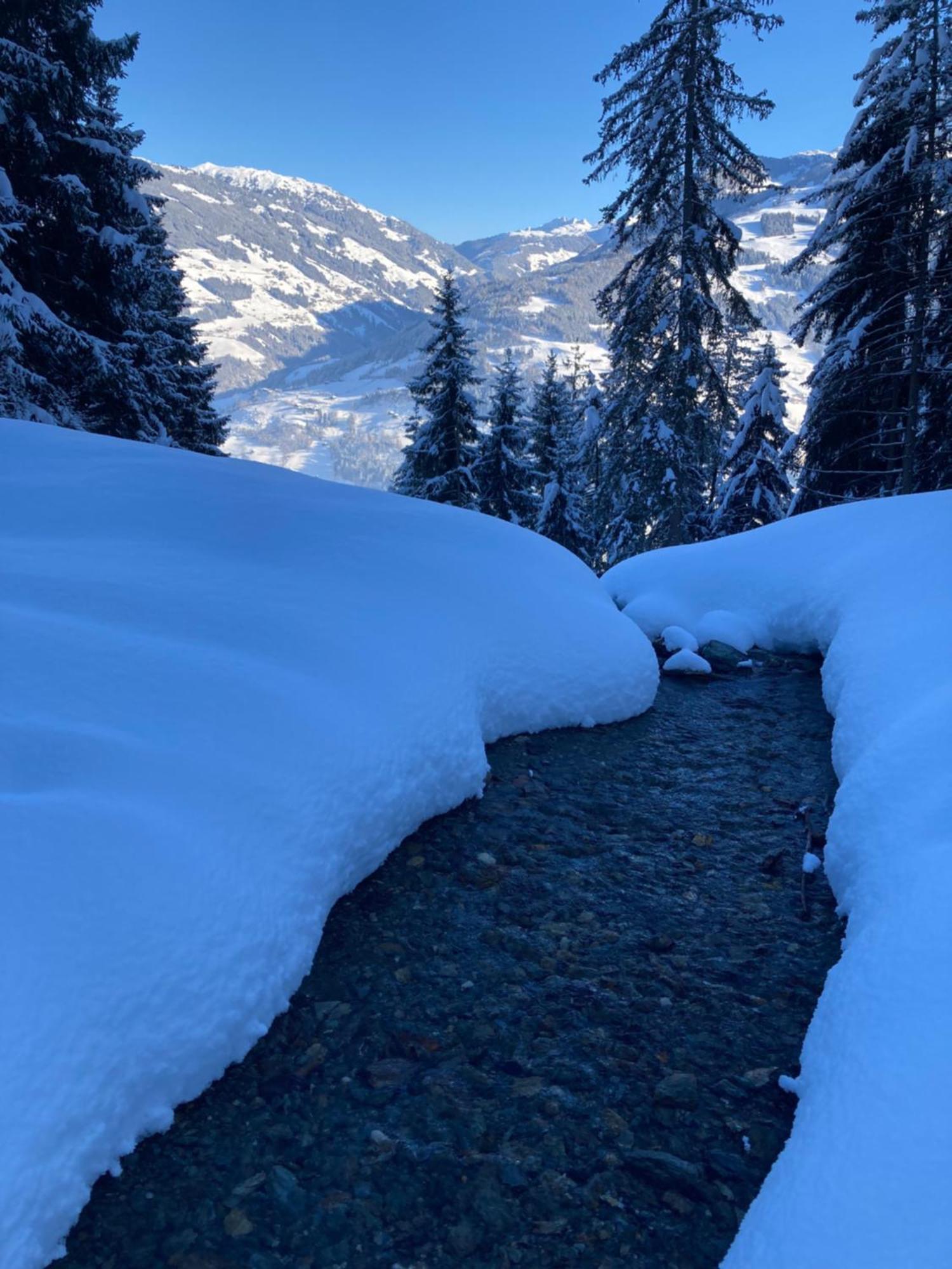 Goass'N Alm Zillertal Villa Hippach Bagian luar foto